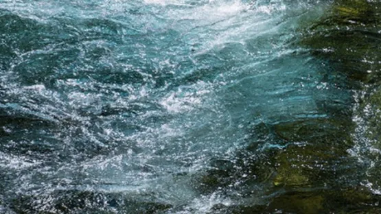 Neutralisation du pH dans le traitement des eaux usées