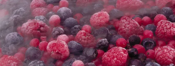 Venez découvrir nos dernières innovations au salon CFIA du 7 au 9 mars à Rennes Hall 2 stand F11