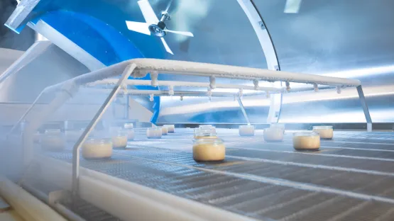 Cryogénie alimentaire chaine de production et équipements