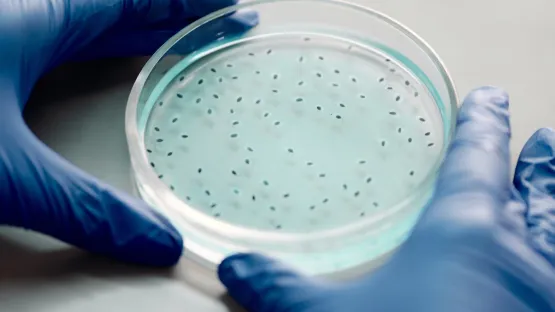 Culture des cellules - Air Liquide