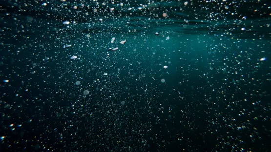 Scopri il trattamento biologico acque reflue - Air Liquide