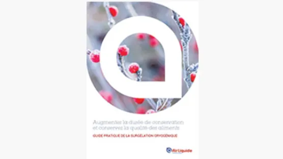 eBook cryogénie alimentaire couverture fond gris - Air Liquide