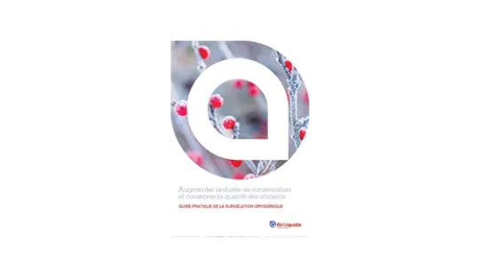 eBook couverture cryogénie alimentaire