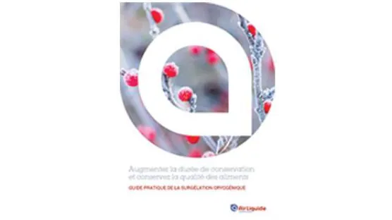 Ebook Cryogénie alimentaire