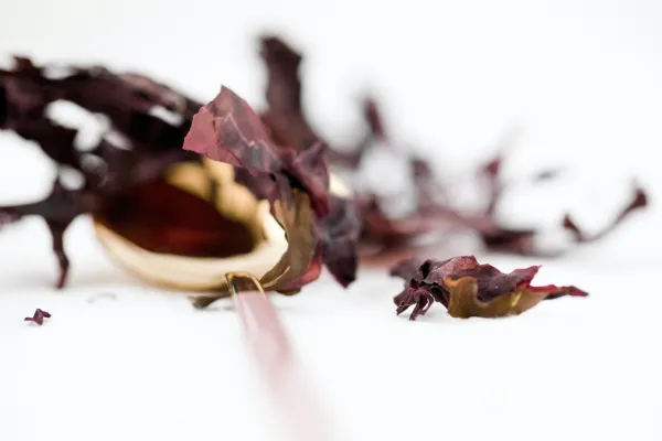 ingredients_algae_Air Liquide