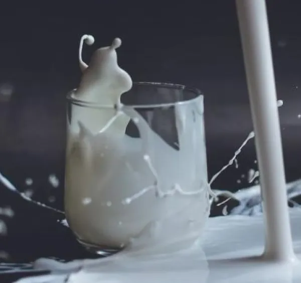 produits laitiers air liquide