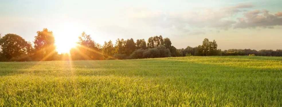Air Liquide signe un contrat pour l’achat de CO2 bio-sourcé en Bretagne